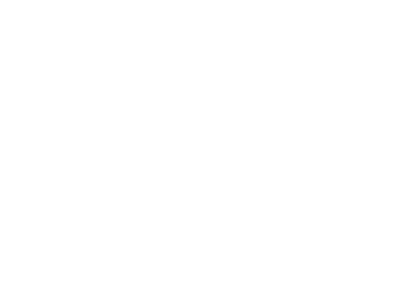 Northeast Fencing Logo White